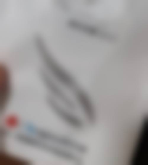 核心项目与技术优势介绍