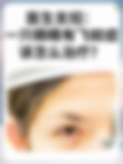 收费与价格原则说明