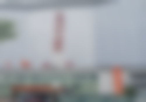 医生资质介绍:刘起+核心项目