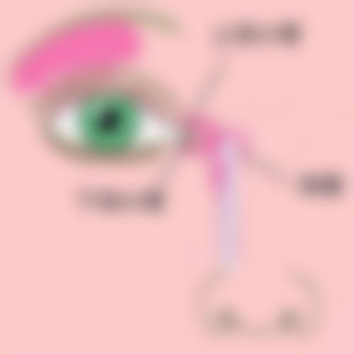 医院资质与骨干医生团队实力解析