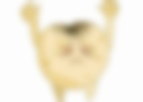 资质认证与规模实力解析