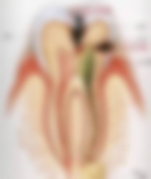 骨干医生团队与服务体验