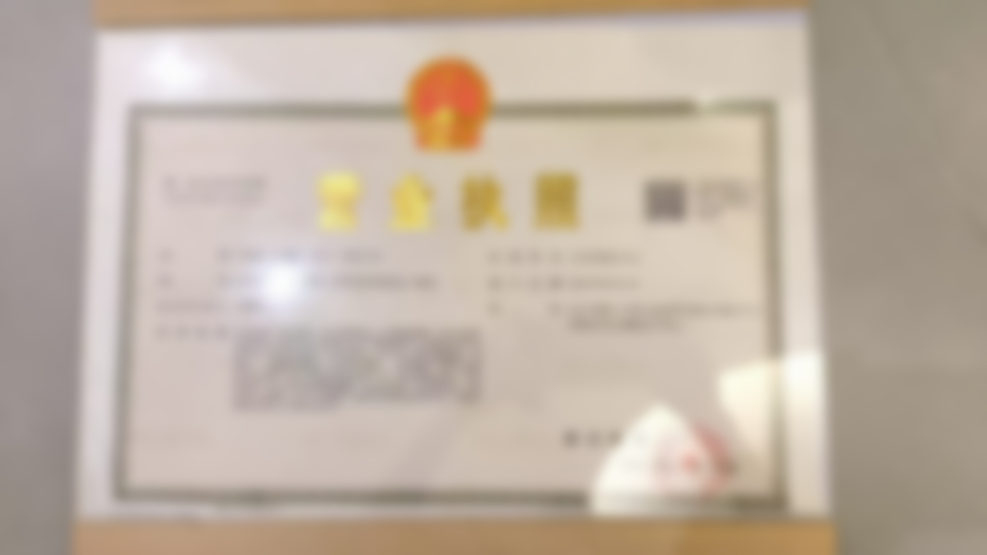 具有影响力资质与合规运营背景