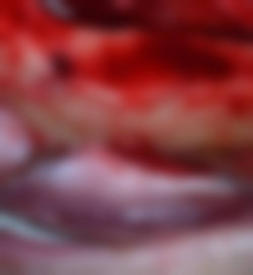 医院资质与实力:正规认证保护诊疗安心