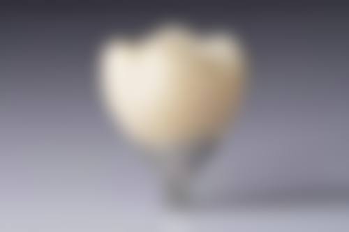 诊疗特色总结