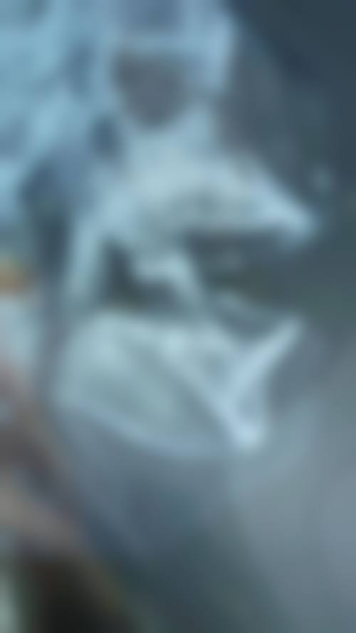 预约优惠活动