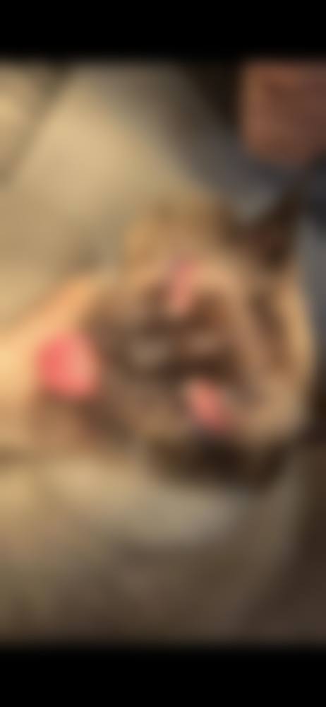 擅长项目详解：眼底病与近视防控双优