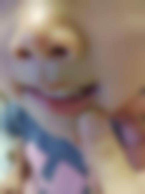 总结与预约指引