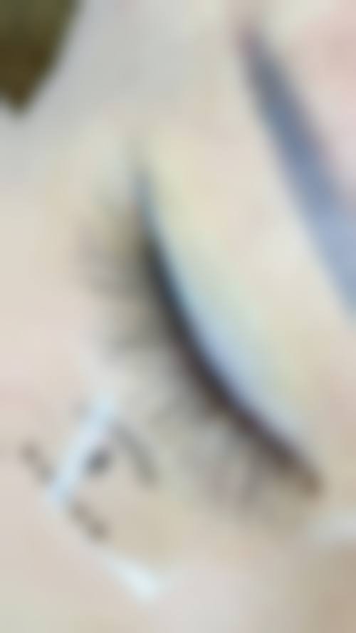 总结与预约指引