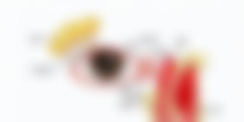 资质认证与三等级专科实力解析