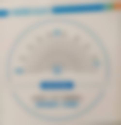 擅长项目详解