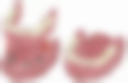 透明定价与服务确保