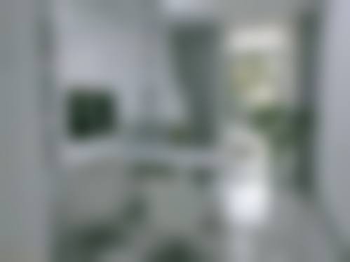 核心技术与特色项目介绍