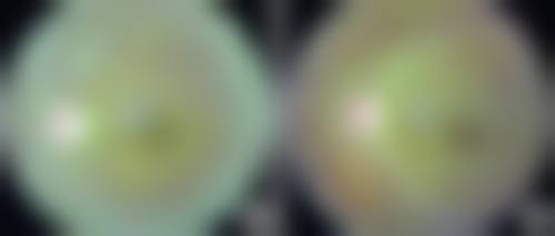医生资质介绍:周云锋医生的专精背景是否可靠?