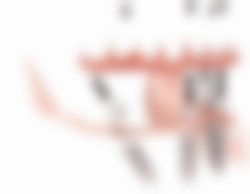 核心项目与数字化诊疗优势