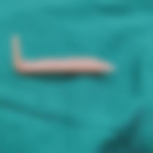 服务流程与预约指南