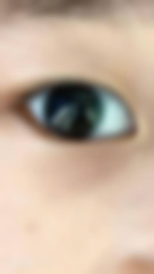 结尾预约号召