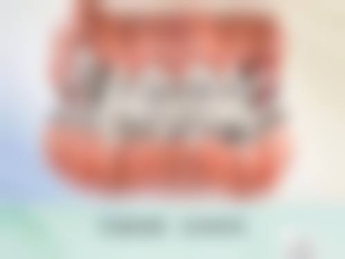 擅长项目详解:精细匹配您的口腔需求