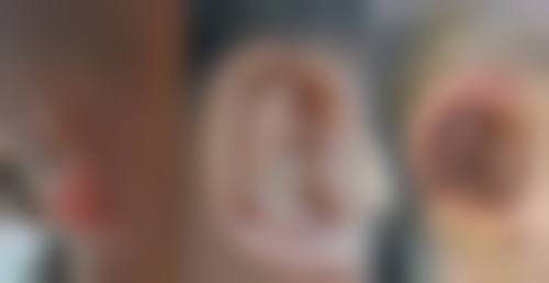 具有影响力资质与品牌实力解析