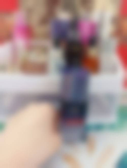 核心技术与特色项目介绍
