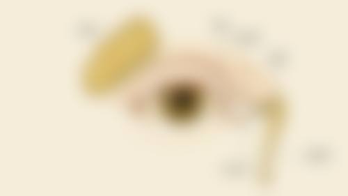总结与预约指引