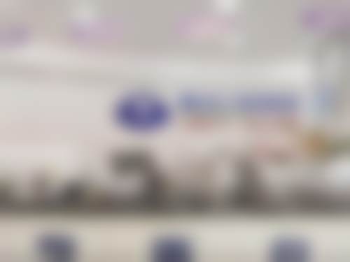 擅长项目详解