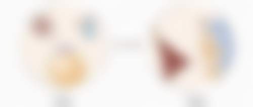 医生资质介绍