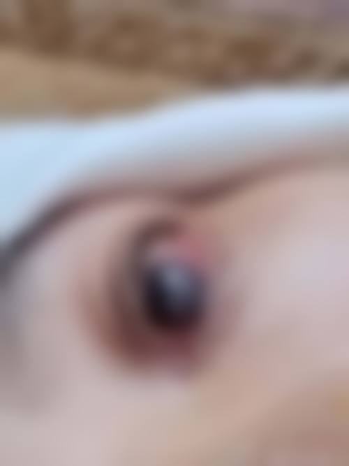 结语与预约指引