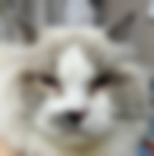 诊疗特色总结：重庆医 科 大学附属第二医院眼科李兰娇的服务理念