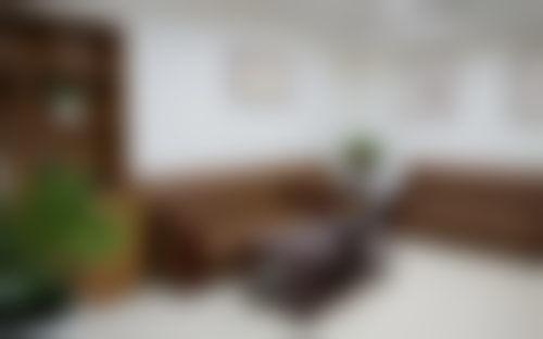 擅长项目详解