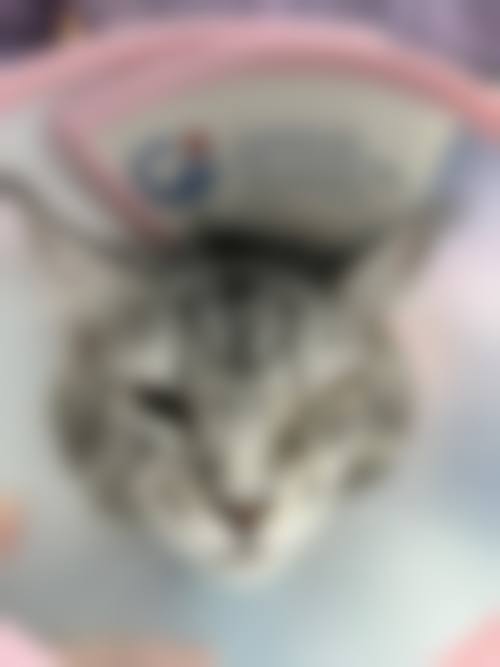 常见问题解答:消除疑虑快速决策